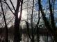 Bords de Seine à Rueil Malmaison le 14 mars dernier La Villa des Sources Ville-d'Avray